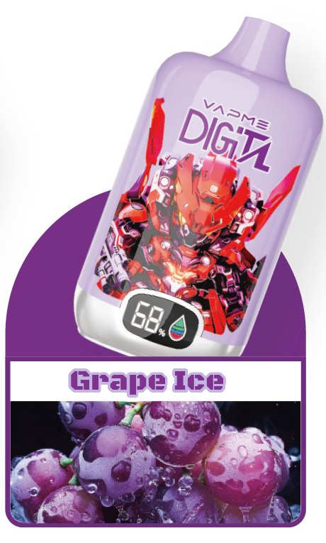 VAPME DIGITAL 12K