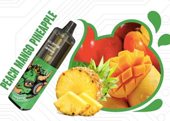 VAPME KING PRO 12K